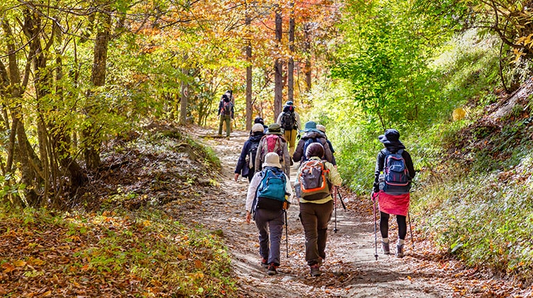 静岡】初心者におすすめの登山・ハイキングコースを紹介！ | みんレク